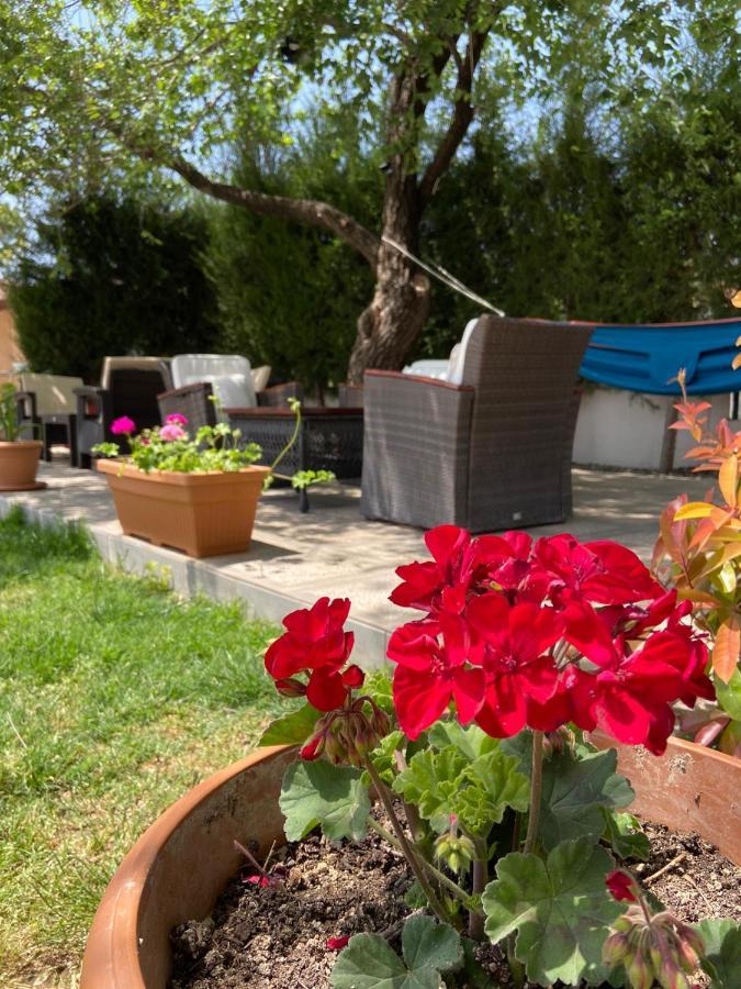 דליאן Safak Apart & Hotel מראה חיצוני תמונה